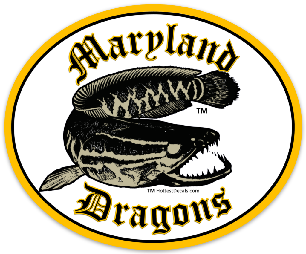 Maryland Dragons decal