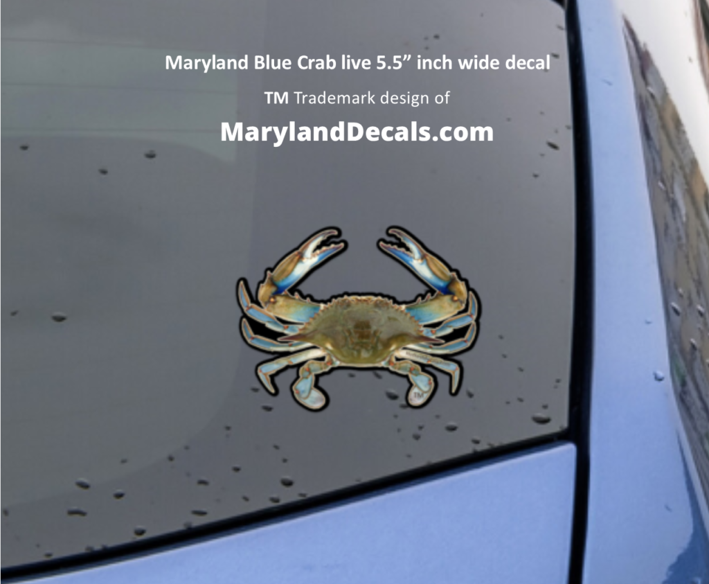 Blue crab decals stickers
