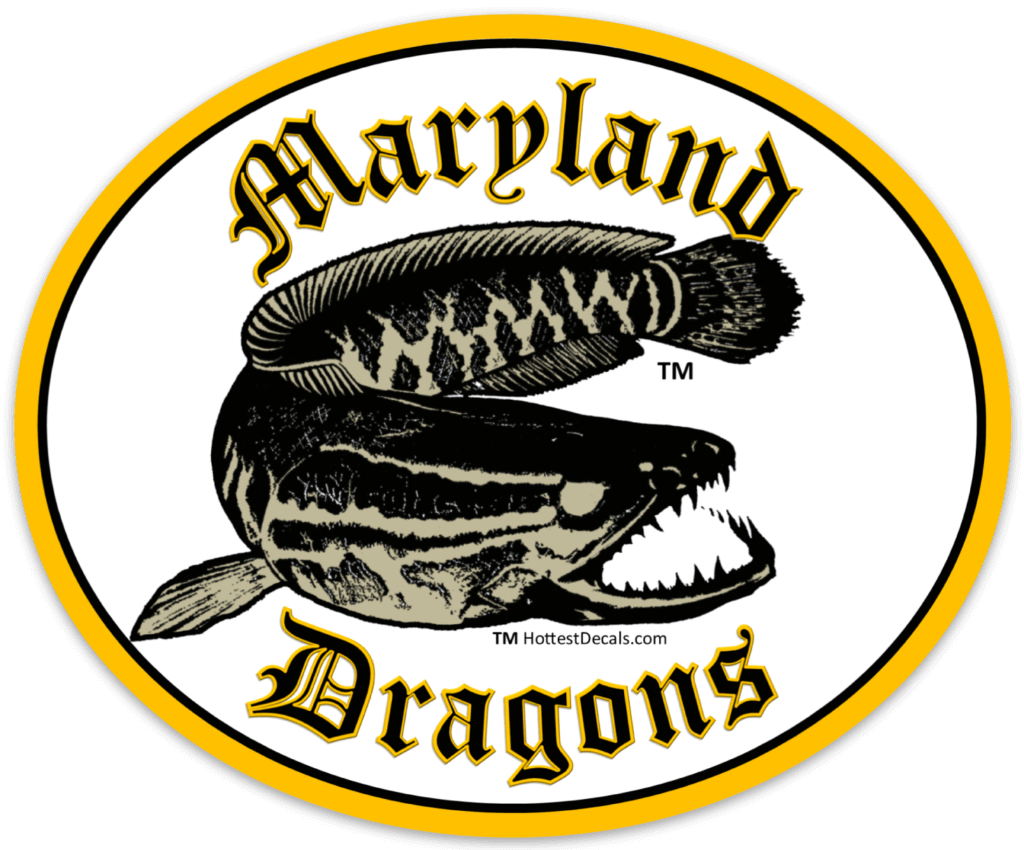 Maryland Dragons car decal