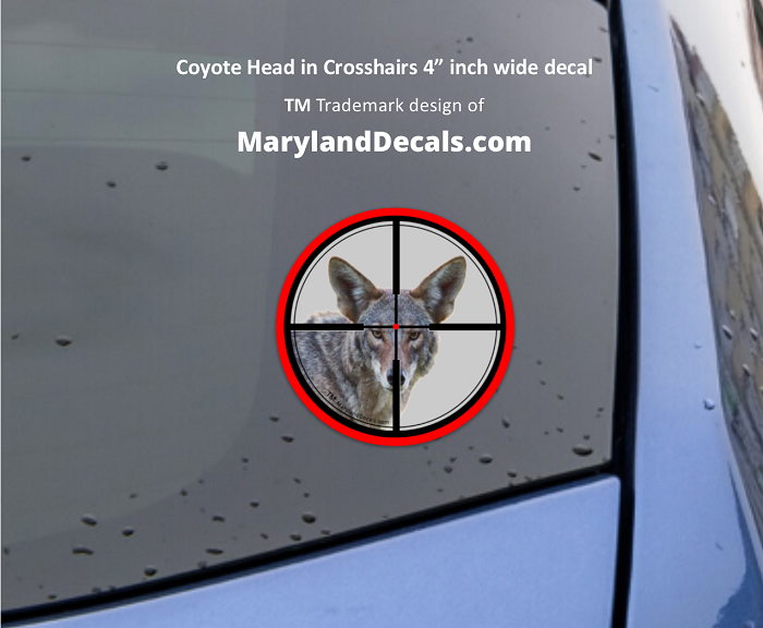Coyote decal sticker MarylandDecals.com