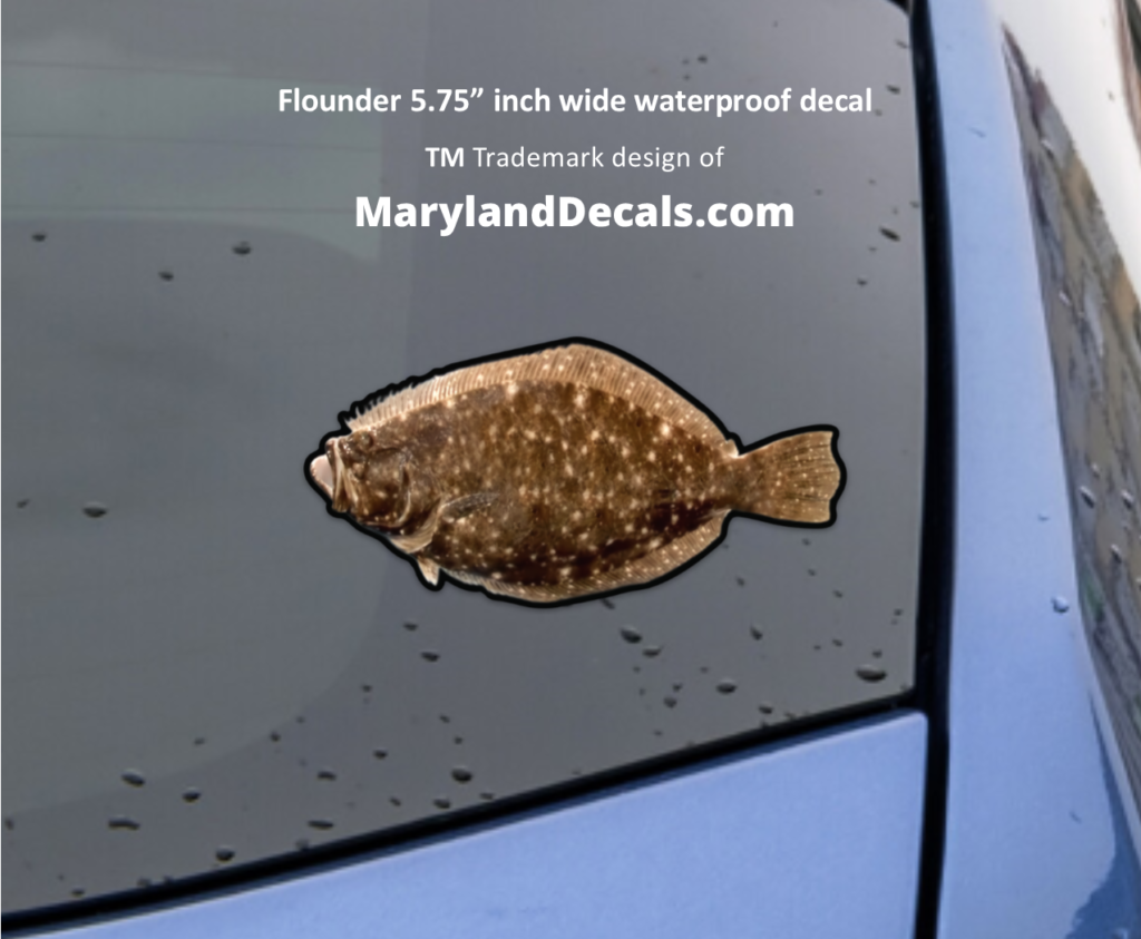 Flounder decal sticker MarylandDecals.com